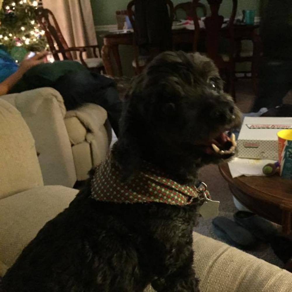 Meet your Posher, Lori